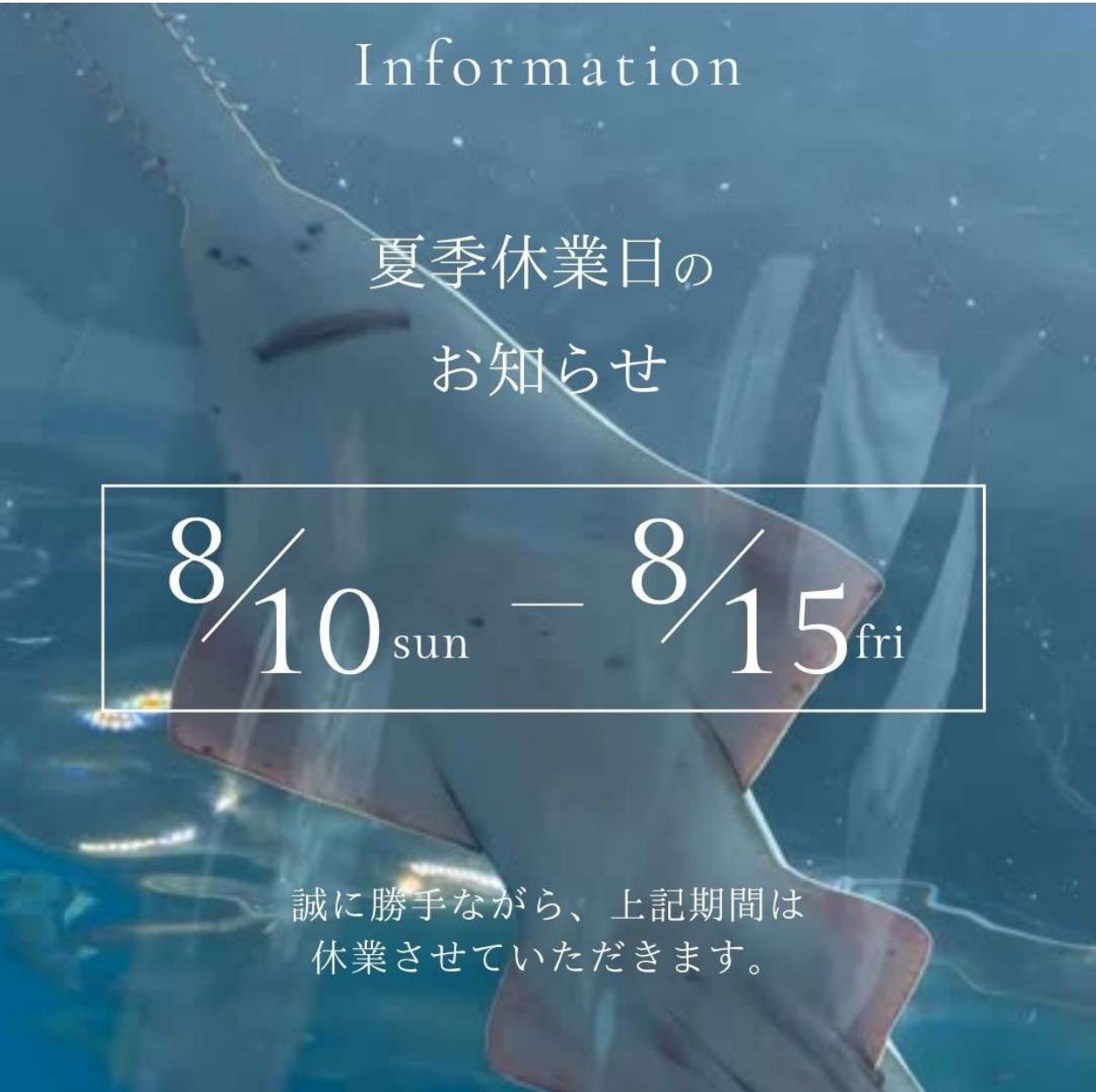 夏季休業のお知らせ アイキャッチ画像